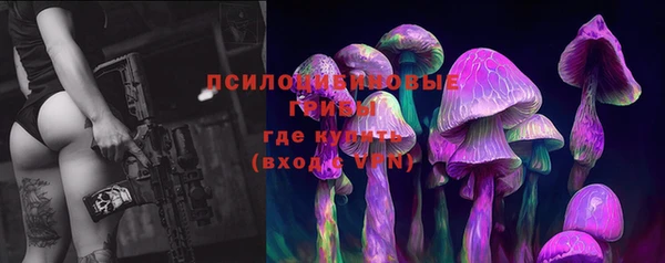 прущие крисы Балахна