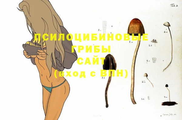 spice Балабаново