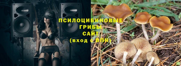 шишки Баксан