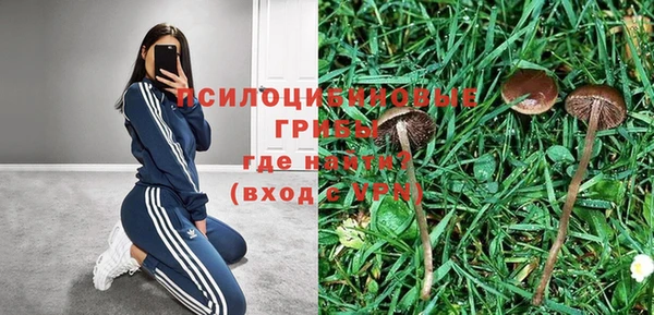шишки Баксан