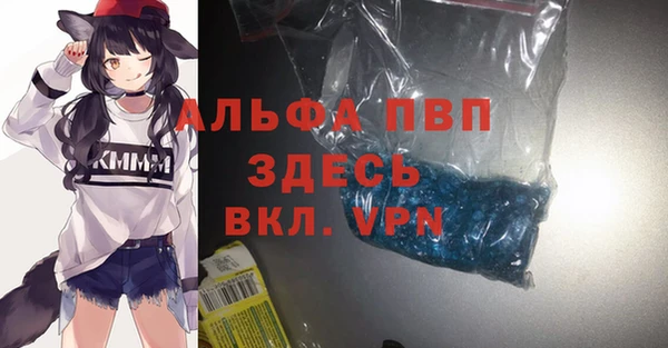 шишки Баксан